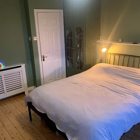 Spacious Private And Plant Paradise In Limerick Junction