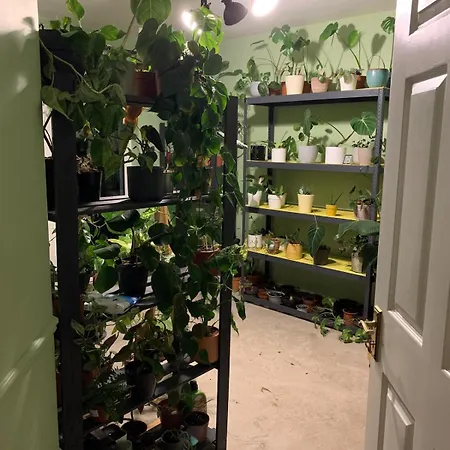 Spacious Private And Plant Paradise In *